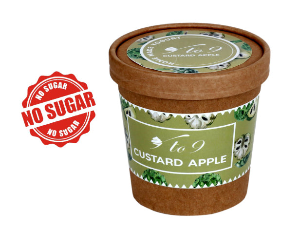 NO SUGAR CUSTARD APPLE GREEK YOGURT