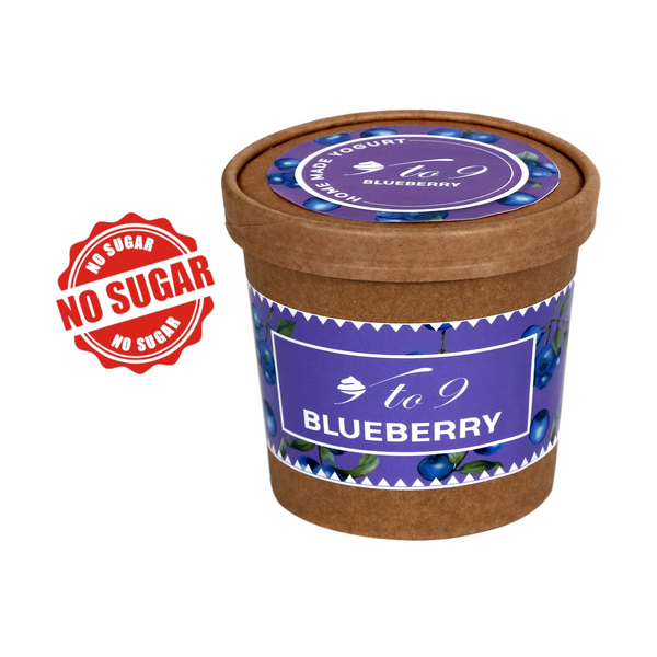 NO SUGAR - BLUEBERRY GREEK YOGURT