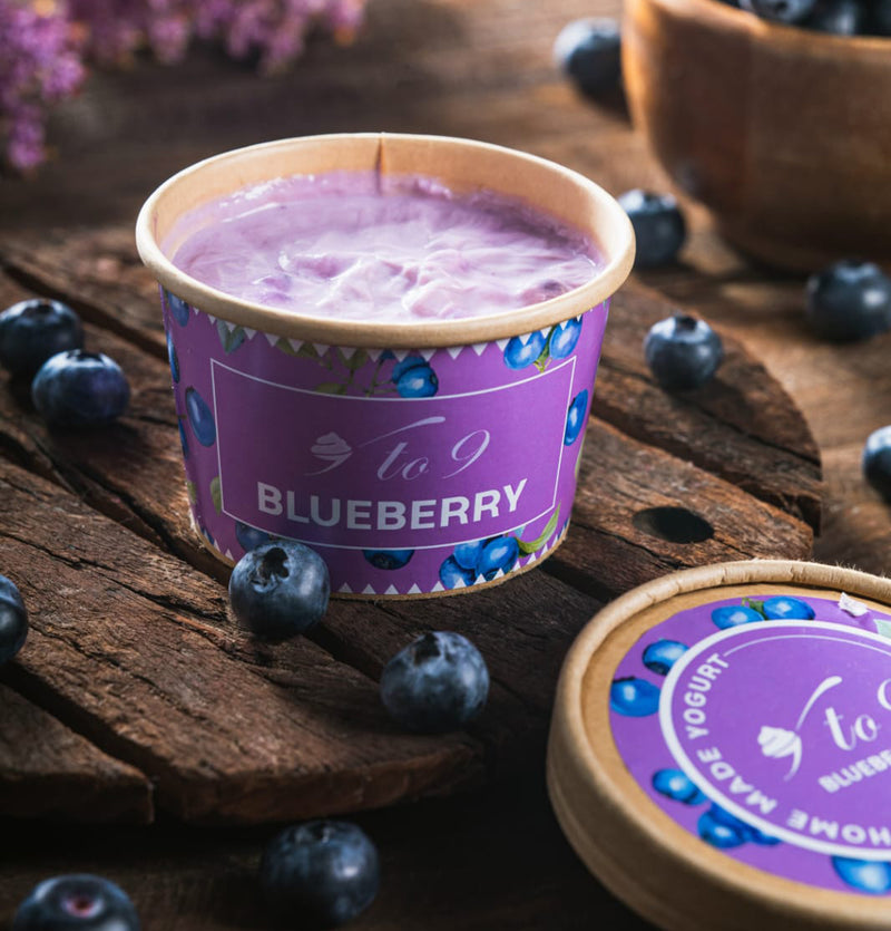 BLUEBERRY GREEK YOGURT